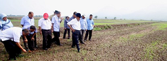 Padi farmers in Kerian suffer RM56 million in losses due to El Nino