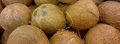 Coconuts Go Upscale, Boosting Price of Conventional Coconut Oil