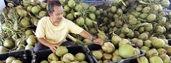 Coconut milk price increases to RM9 per kilo
