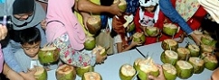 Rising demand for coconuts in Asia driving prices up