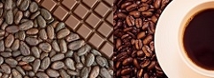 Cocoa better bet than coffee, sugar, says Commerzbank